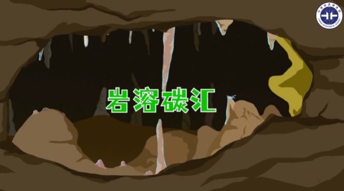 《岩溶碳汇：默默无闻的自然碳汇》科普作品荣获2025年广西科普视频大赛一等奖