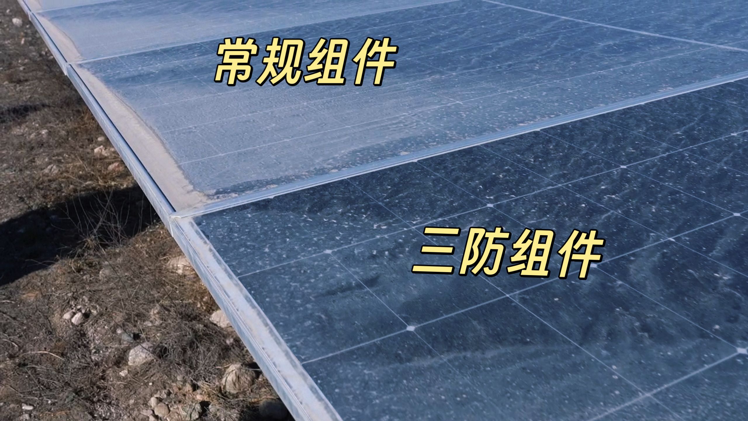 隆基三防组件银川实证:行业首张证书背后的“极限测试”