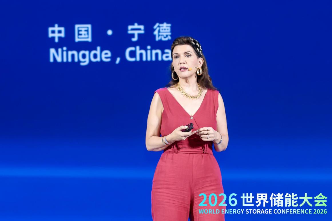 2026WESC｜“储能国际市场论坛”在福建宁德举办