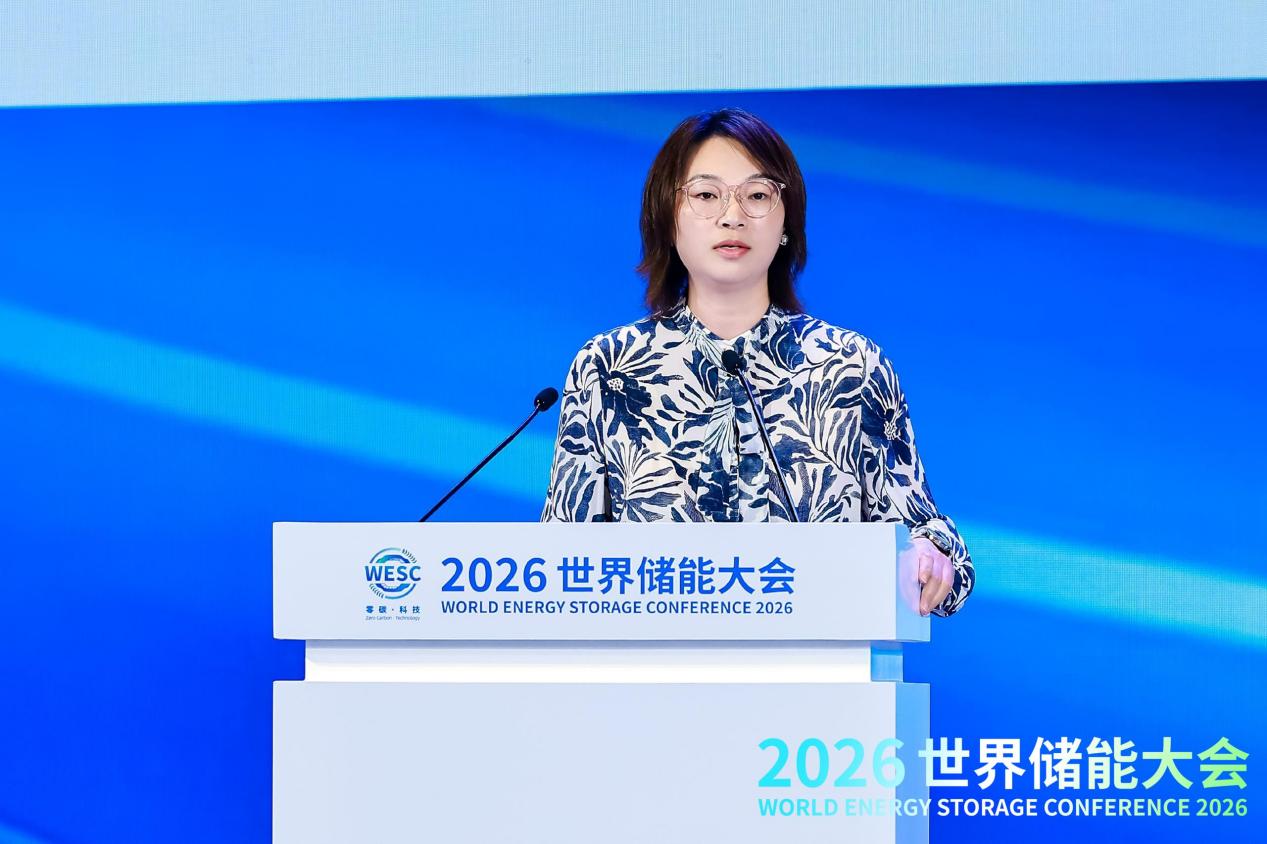2026WESC｜储能价值创新论坛在福建宁德举办