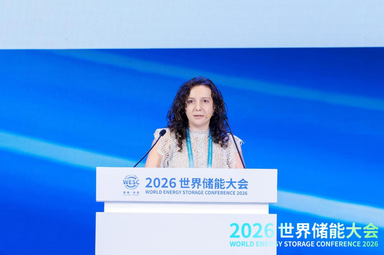 2026WESC｜储能价值创新论坛在福建宁德举办