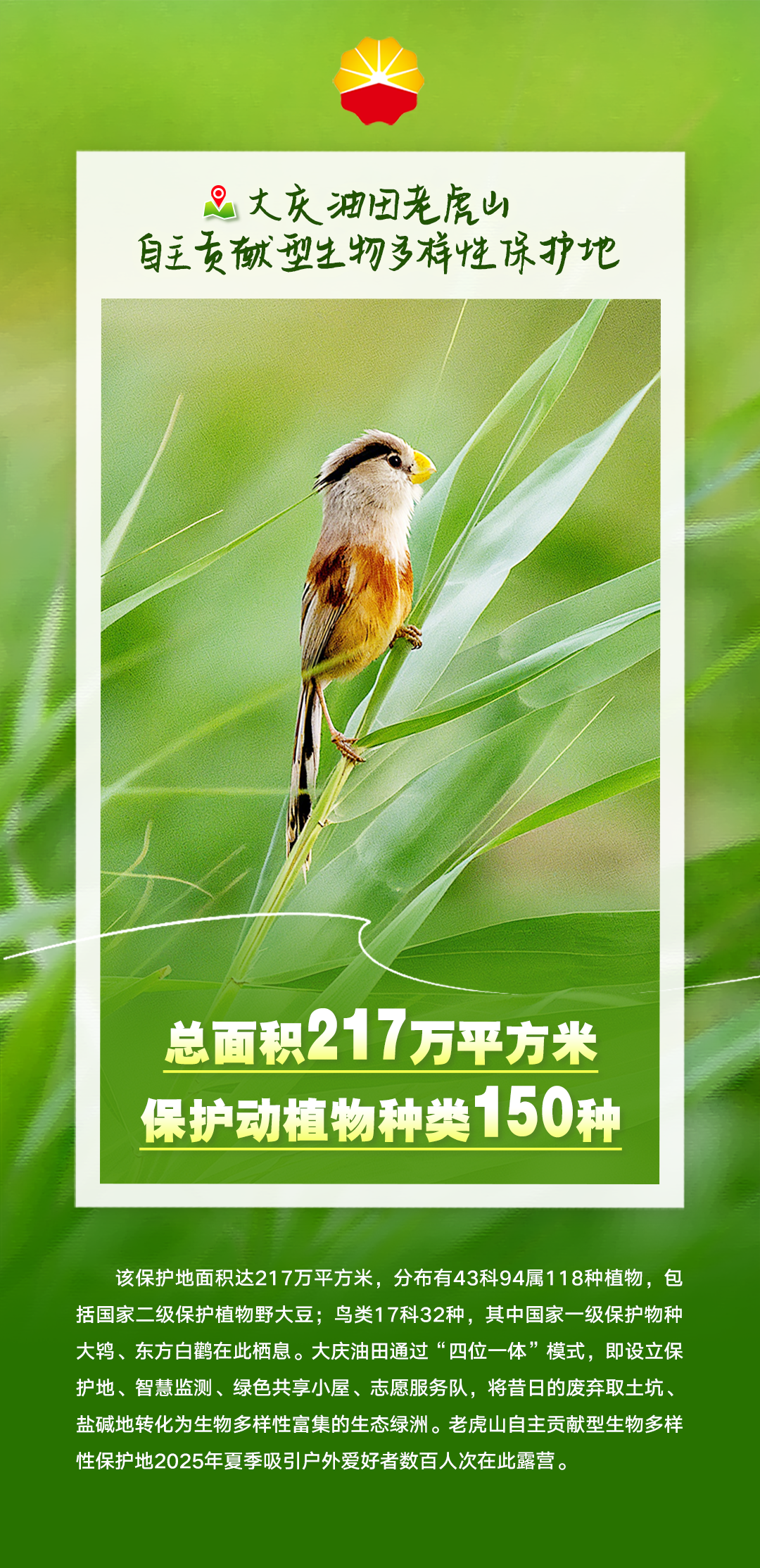 官宣！正式发布！