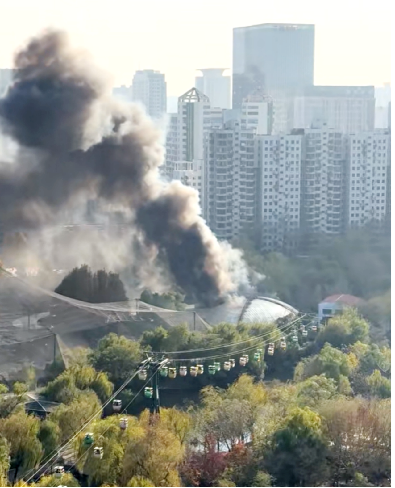 隆基三防组件银川实证:行业首张证书背后的“极限测试”