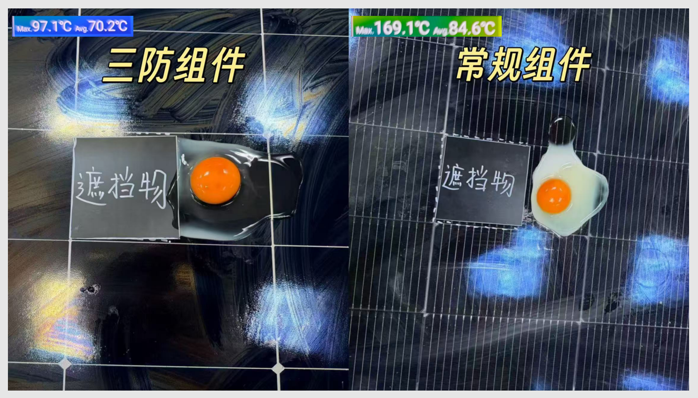 隆基三防组件银川实证:行业首张证书背后的“极限测试”