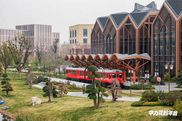 2025华为花粉年会：因热爱而同行，让星光照亮彼此