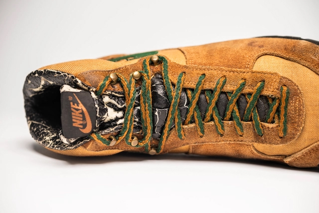 ACG的诞生：一座山峰开启的传奇之路